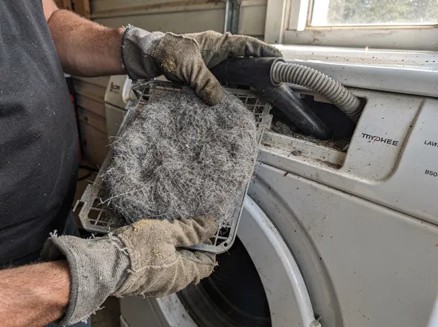 Cleaning Dryer Lint Trap in Ravenna